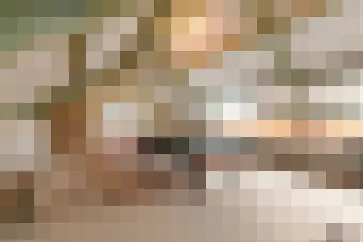 Meidoornlaan 59 Nootdorp thumbnail 51