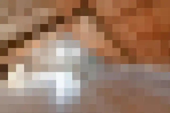 Meidoornlaan 59 Nootdorp thumbnail 54