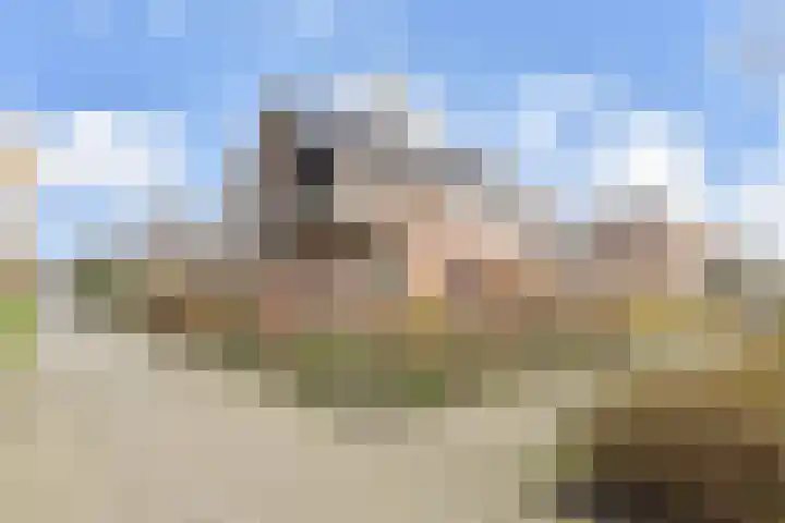 Meidoornlaan 59 Nootdorp thumbnail 59