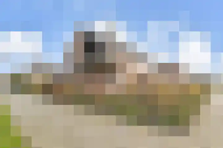 Meidoornlaan 59 Nootdorp thumbnail 6