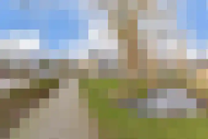Meidoornlaan 59 Nootdorp thumbnail 60