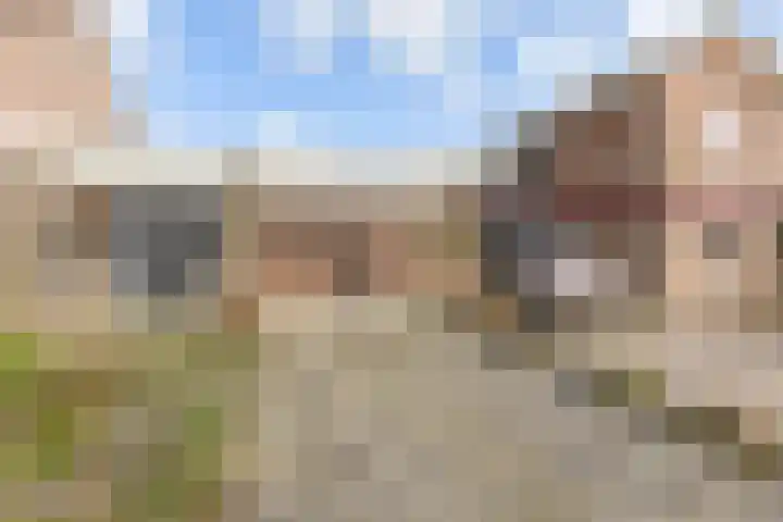 Meidoornlaan 59 Nootdorp thumbnail 7