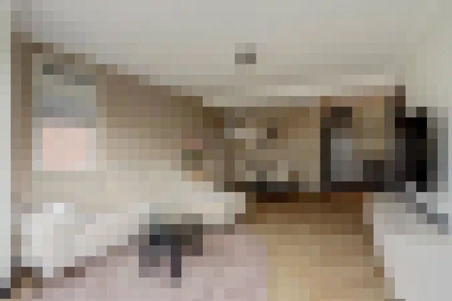 Meidoornlaan 6 Geesbrug thumbnail 10