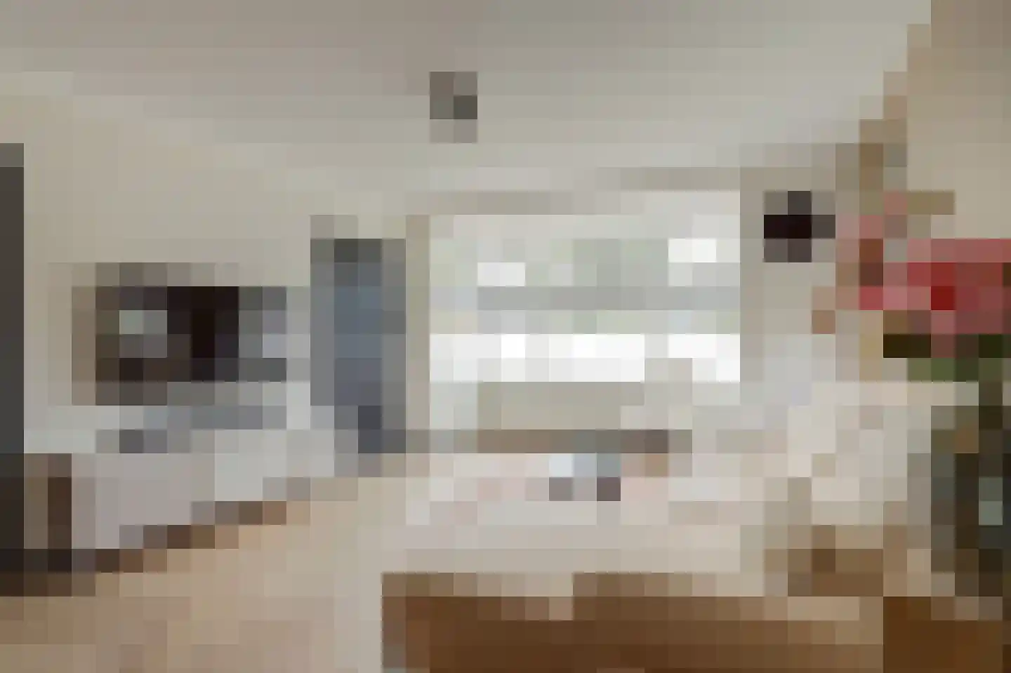 Meidoornlaan 6 Geesbrug thumbnail 11