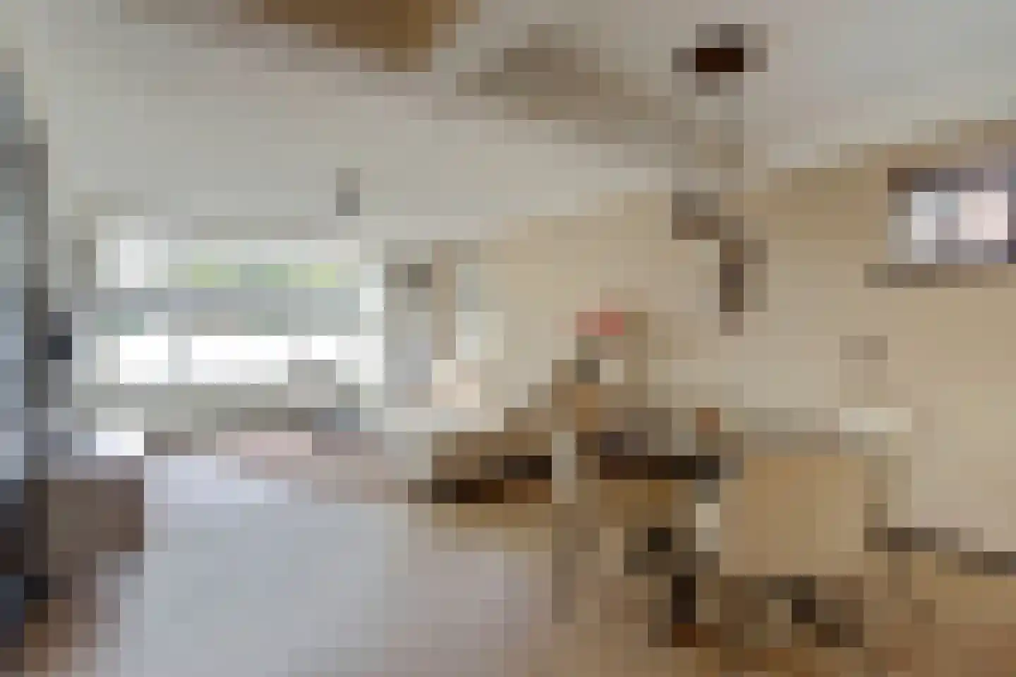 Meidoornlaan 6 Geesbrug thumbnail 12