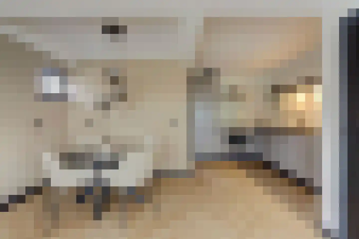 Meidoornlaan 6 Geesbrug thumbnail 13