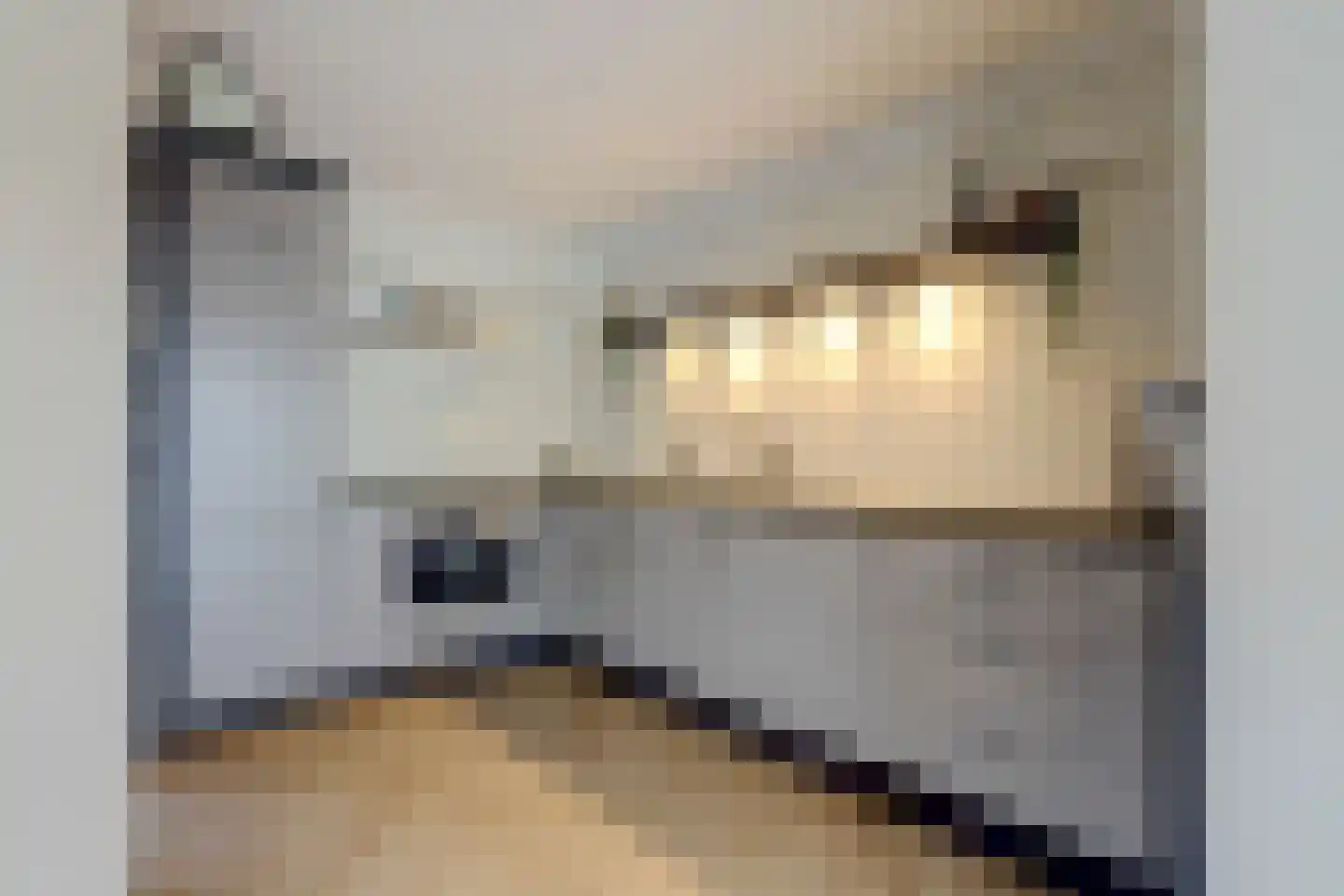 Meidoornlaan 6 Geesbrug thumbnail 14
