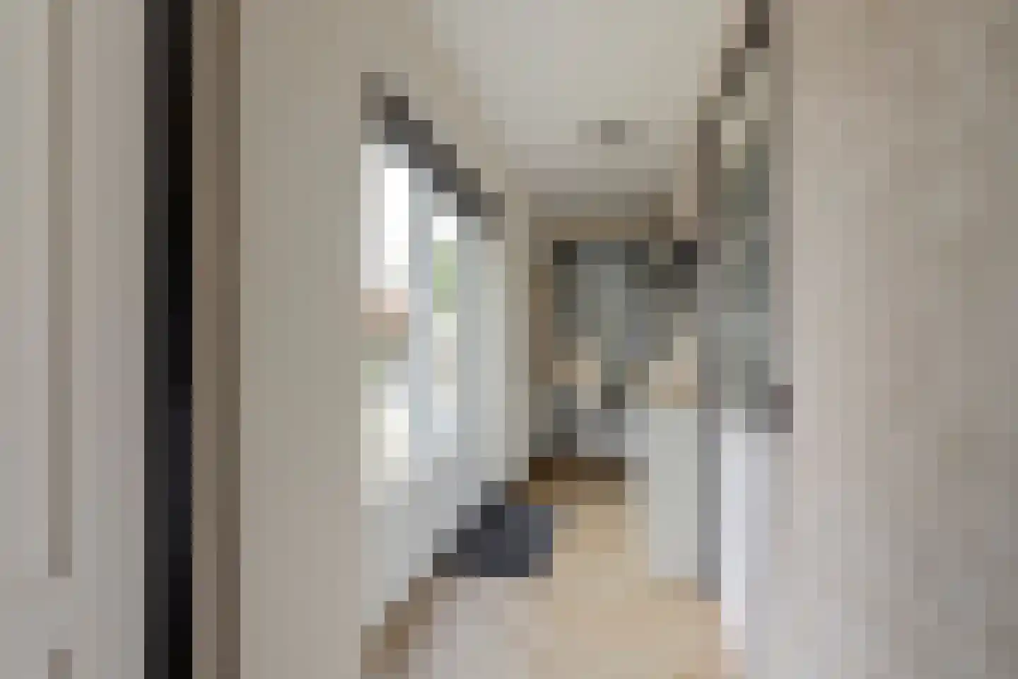 Meidoornlaan 6 Geesbrug thumbnail 27