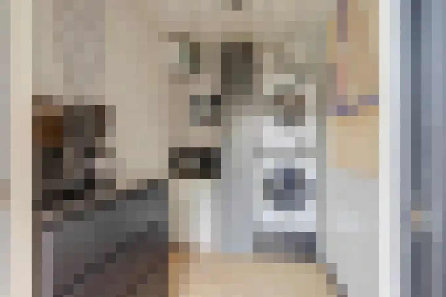 Meidoornlaan 6 Geesbrug thumbnail 28