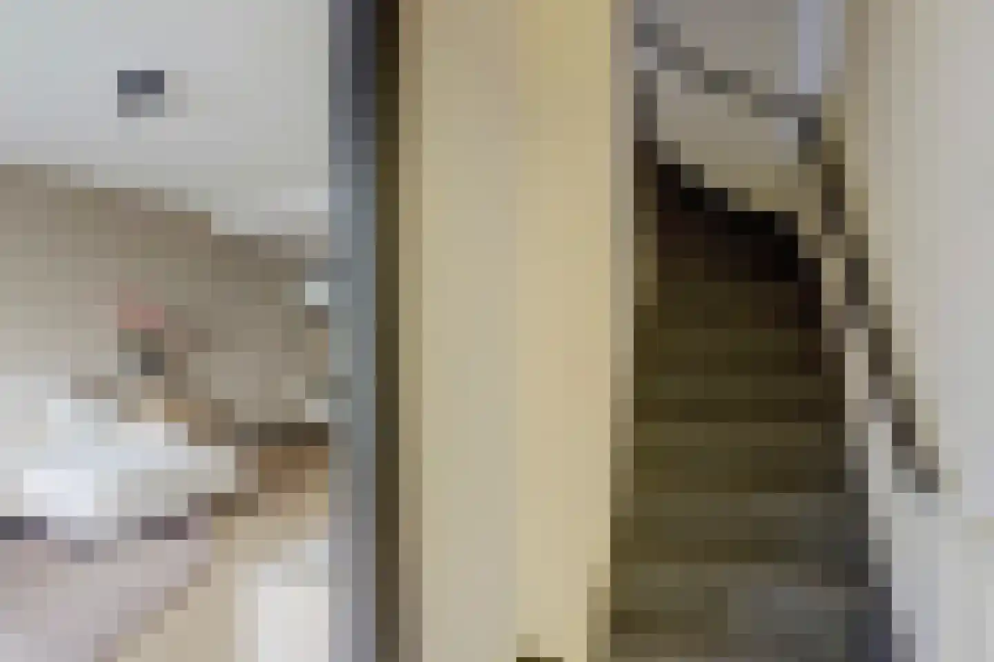 Meidoornlaan 6 Geesbrug thumbnail 29