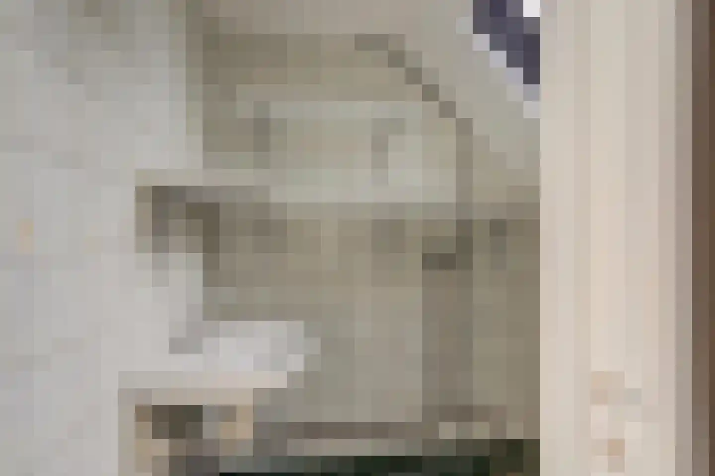 Meidoornlaan 6 Geesbrug thumbnail 37