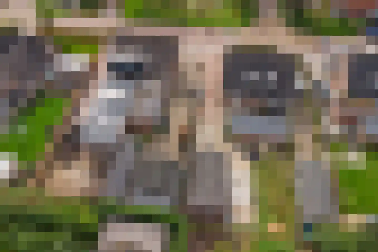 Meidoornlaan 6 Geesbrug thumbnail 47