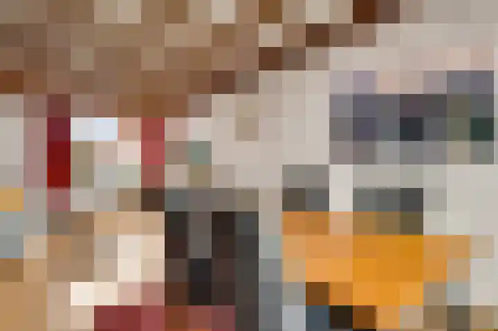 Meidoornlaan 6 Haelen thumbnail 15