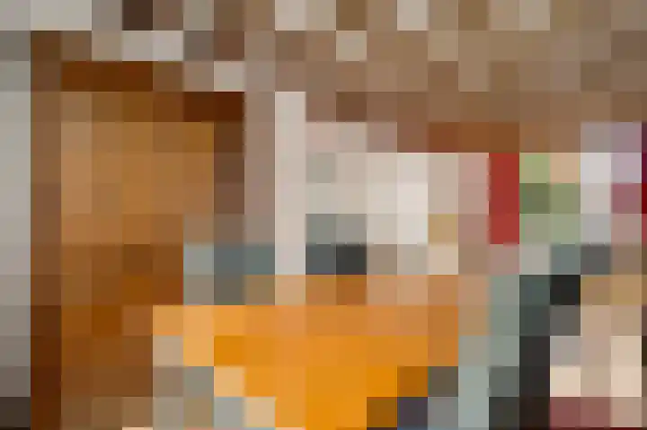 Meidoornlaan 6 Haelen thumbnail 16