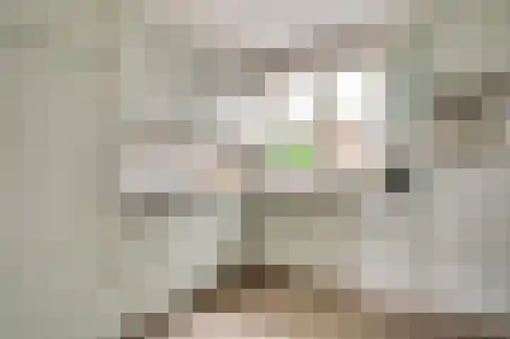Meidoornlaan 6 Haelen thumbnail 18