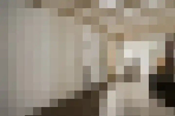 Meidoornlaan 6 Haelen thumbnail 29