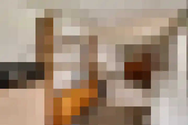 Meidoornlaan 6 Haelen thumbnail 30
