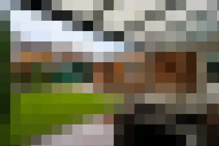 Meidoornlaan 6 Haelen thumbnail 32