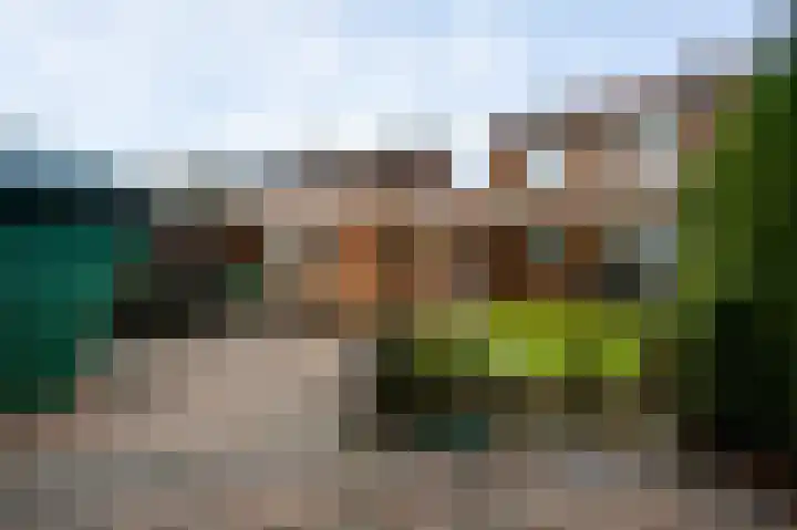 Meidoornlaan 6 Haelen thumbnail 33