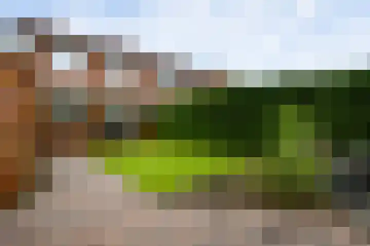 Meidoornlaan 6 Haelen thumbnail 34