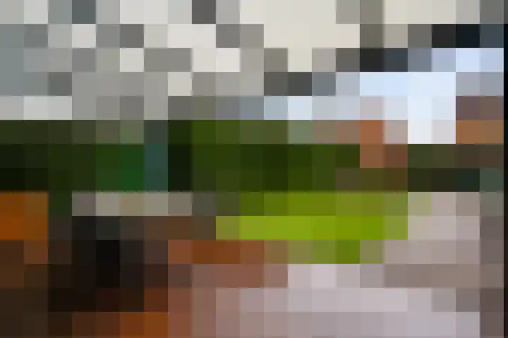 Meidoornlaan 6 Haelen thumbnail 4