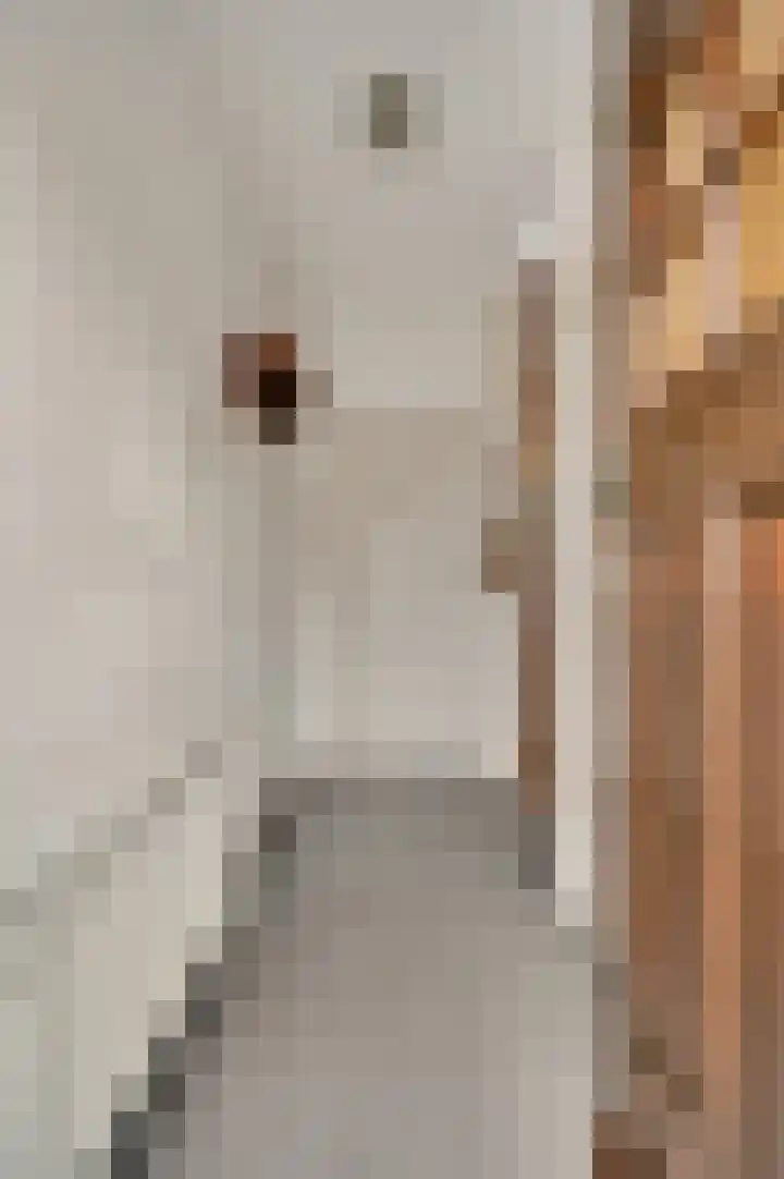 Meidoornlaan 6 Haelen thumbnail 8