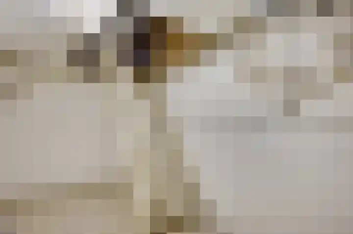 Meidoornlaan 6 Haelen thumbnail 9