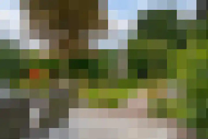 Meidoornlaan 6 Hattem thumbnail 25