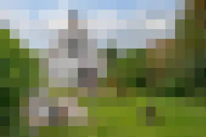 Meidoornlaan 6 Hattem thumbnail 28