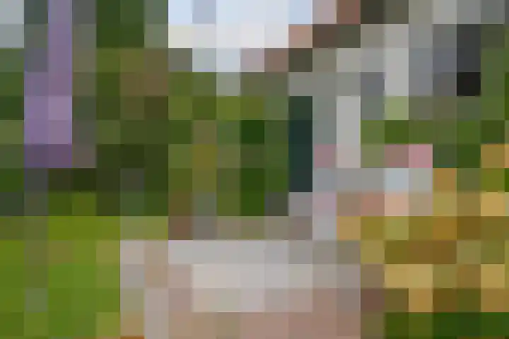 Meidoornlaan 6 Hattem thumbnail 30