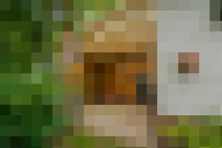 Meidoornlaan 6 Hattem thumbnail 31