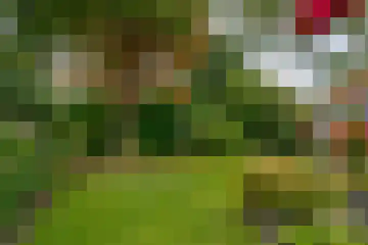 Meidoornlaan 6 Hattem thumbnail 32