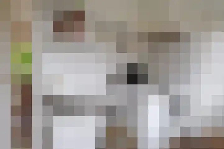 Meidoornlaan 6 Hattem thumbnail 33