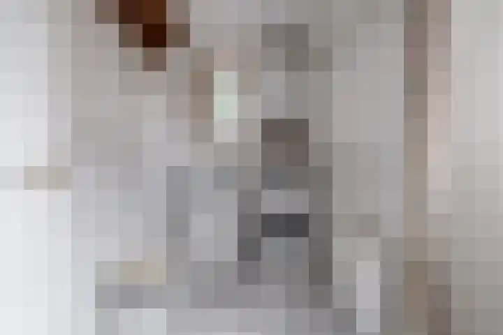 Meidoornlaan 6 Hattem thumbnail 36