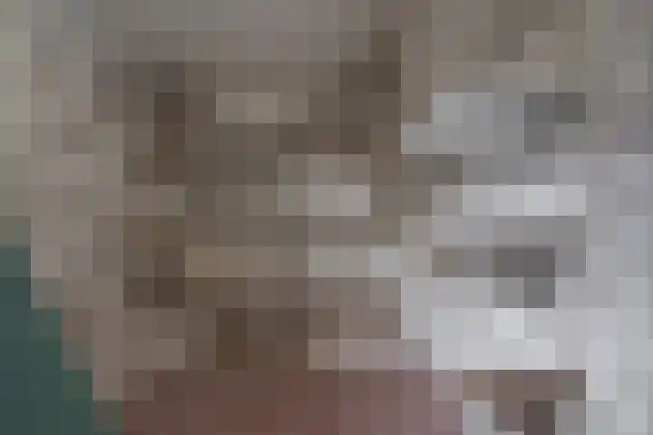 Meidoornlaan 6 Hattem thumbnail 40