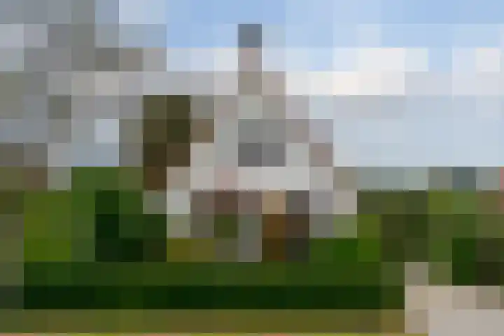 Meidoornlaan 6 Hattem thumbnail 5