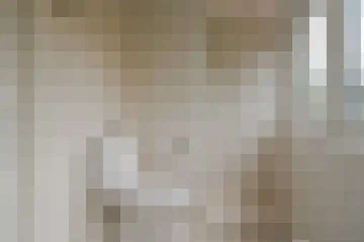 Meidoornlaan 6 Hattem thumbnail 53