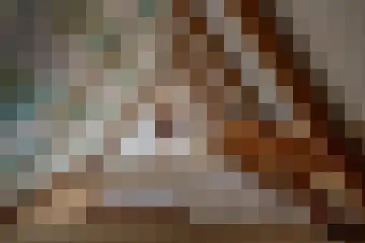 Meidoornlaan 6 Hattem thumbnail 54