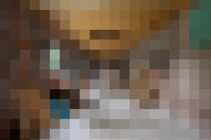Meidoornlaan 6 Hattem thumbnail 56