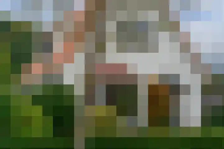 Meidoornlaan 6 Hattem thumbnail 58