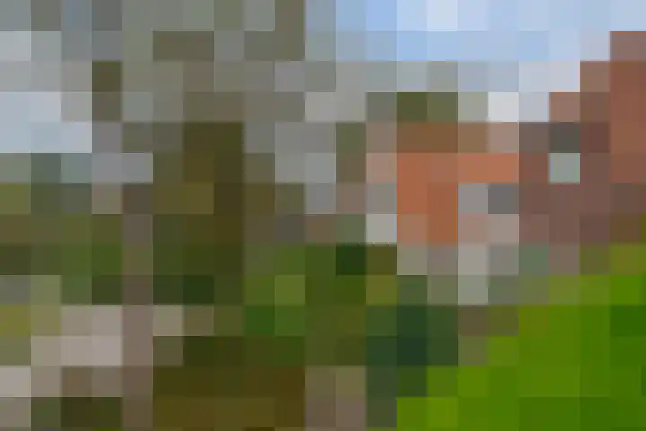 Meidoornlaan 6 Hattem thumbnail 59