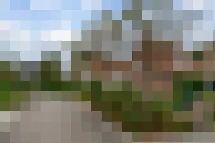 Meidoornlaan 6 Hattem thumbnail 7