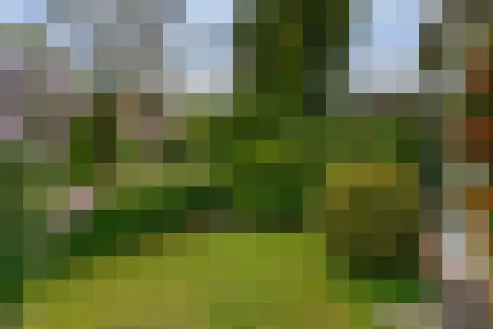 Meidoornlaan 6 Hattem thumbnail 8