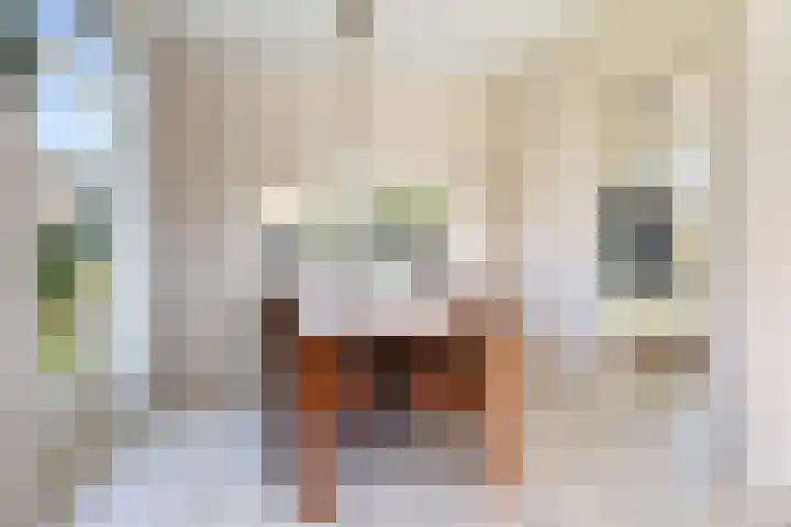 Meidoornlaan 6 Kamerik thumbnail 15
