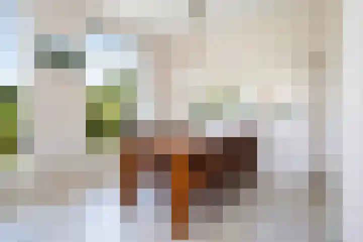 Meidoornlaan 6 Kamerik thumbnail 16