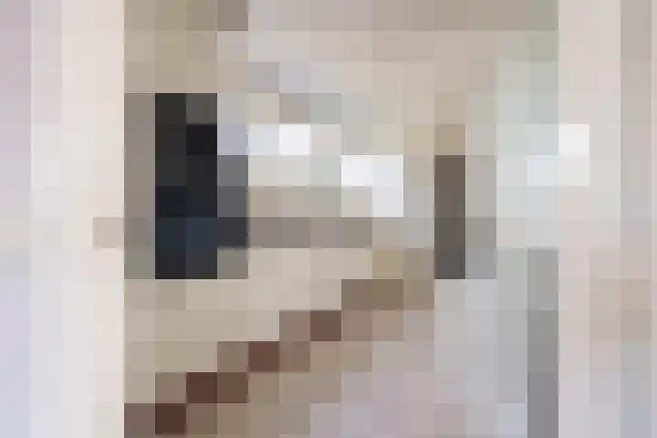 Meidoornlaan 6 Kamerik thumbnail 17