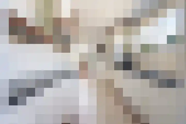 Meidoornlaan 6 Kamerik thumbnail 19