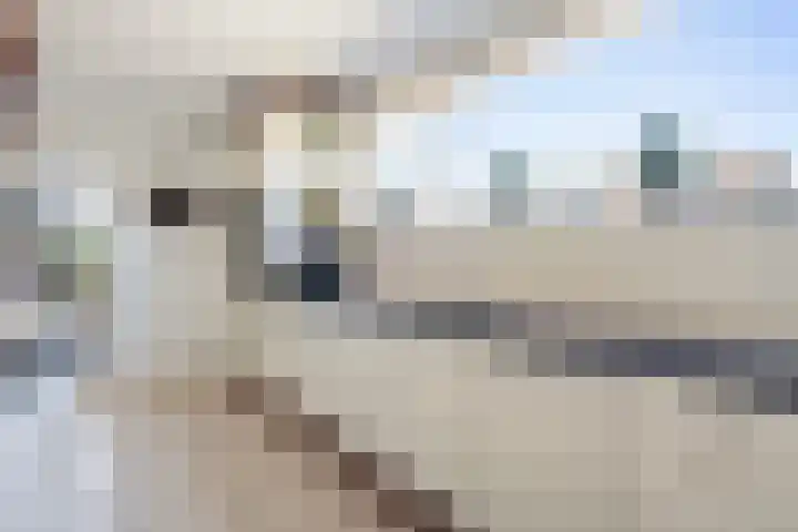 Meidoornlaan 6 Kamerik thumbnail 20