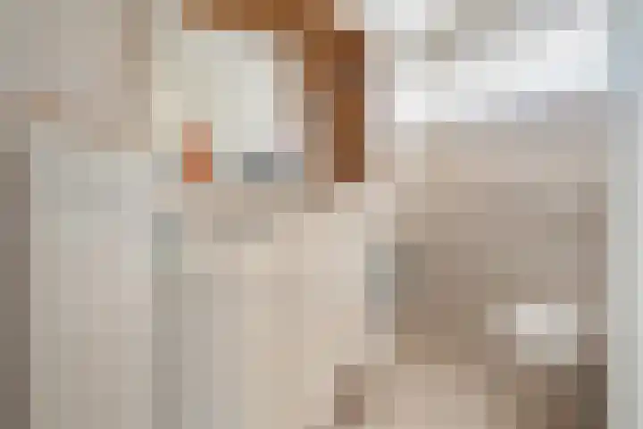 Meidoornlaan 6 Kamerik thumbnail 26