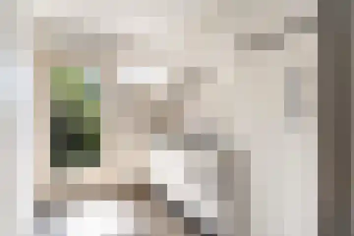 Meidoornlaan 6 Kamerik thumbnail 28